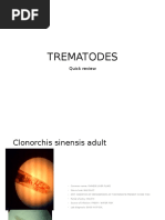 Trematode