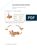 Prueba de Diagnóstico Ciencias Naturales Segundo Año Básico