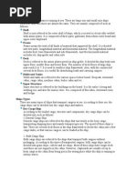 Download Ship Structure by bullfire SN34273627 doc pdf