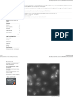 Cell Segmentation Steve On Image Processing