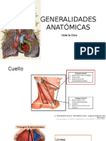 Anatomía y Fisiología Traquea