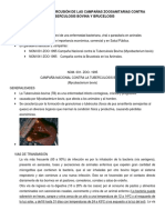 Tuberculosis bovina y brucelosis.pdf