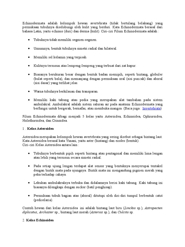 Echinodermata Adalah Kelompok Hewan Avertebrata