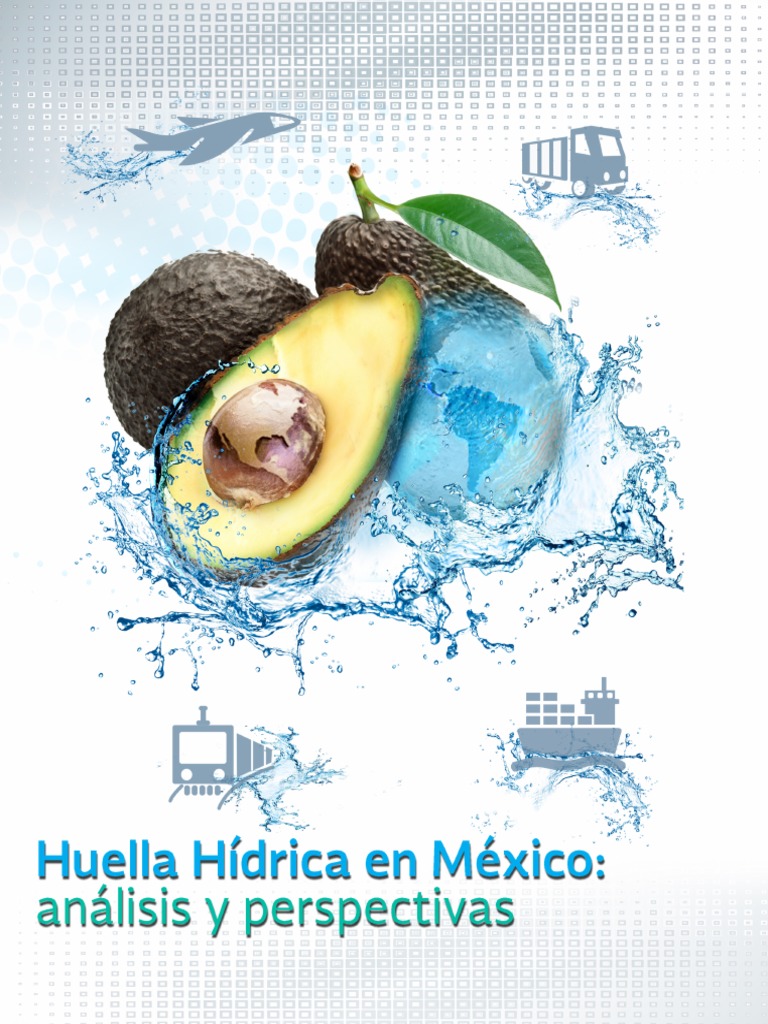 Huella Hídrica en México Análisis y Perspectivas Uso del