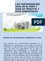 FUENTES DE CONTAMINACIÓN AMBIENTAL EN EL PERÚ Y.pptx