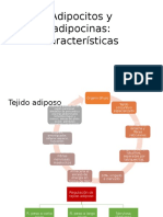 Expo Endo Adipocitos