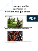 8 Razones de Por Qué Las Carreras Agrícolas Se Necesitan Más Que Nunca - Ok - Ok - Ok