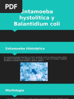 Entamoeba Hystolitica y Balantidium Coli