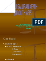 DR - Ainun Aschorijanto Spu Sub Divisi Urologi, Lab/Smf Ilmu Bedah FK Unsrat - Rsu Prof R.D Kandou Manado