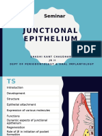 Junctional Epithelium