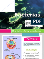 Bacterias Morfología Pared