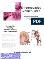 T4 Enfermedades-Glomerulares