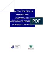 2010Auditorias.pdf