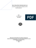 Laporan PCR PDF