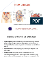 Urinary System Desember2014