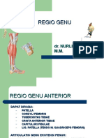 Regio Genu