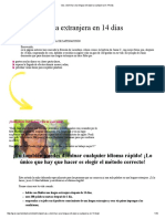 Vas A Dominar Una Lengua Extranjera Cualquiera en 14 Dias