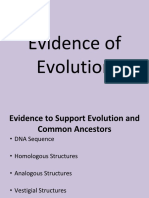 05 evidence of evolution notes