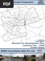 Summary Lucknow CDP
