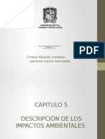 Impactos Ambientales y Medidas de Manejo Ambiental Capitulo 5 y 6