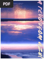 Roi Ferreiro - A Revoluçom Azul (2001-2009)