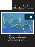 Germinación in Vitro de Semillas y Desarrollo de Plántulas de Orquídeas Silvestres de Tabasco