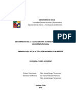 Fritura Manzana PDF