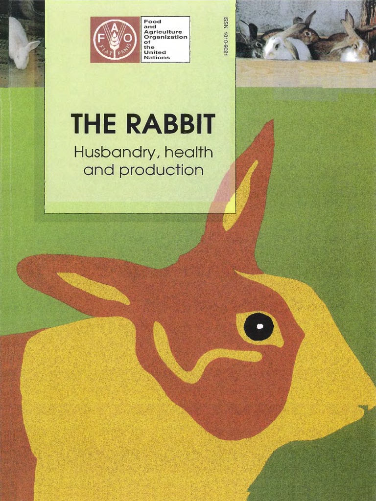 Rab | PDF | Rabbit | Meat