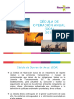 Cedula de Operacion Anual