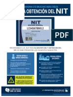 Requisitos para Obtener El Nit PDF