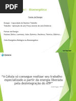 Bioenergética 2017