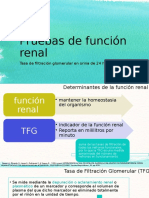 Pruebas de Función Renal