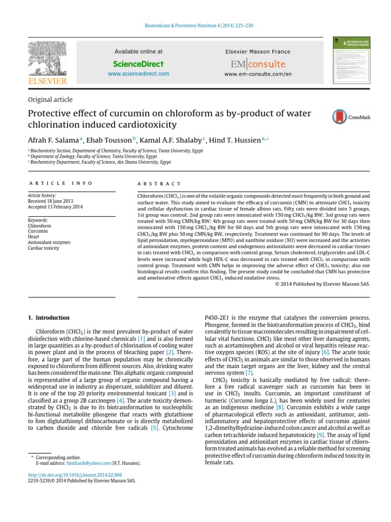 Protective Effect of Curcumin PDF | PDF