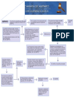 Mapa Conceptual Del Amparo