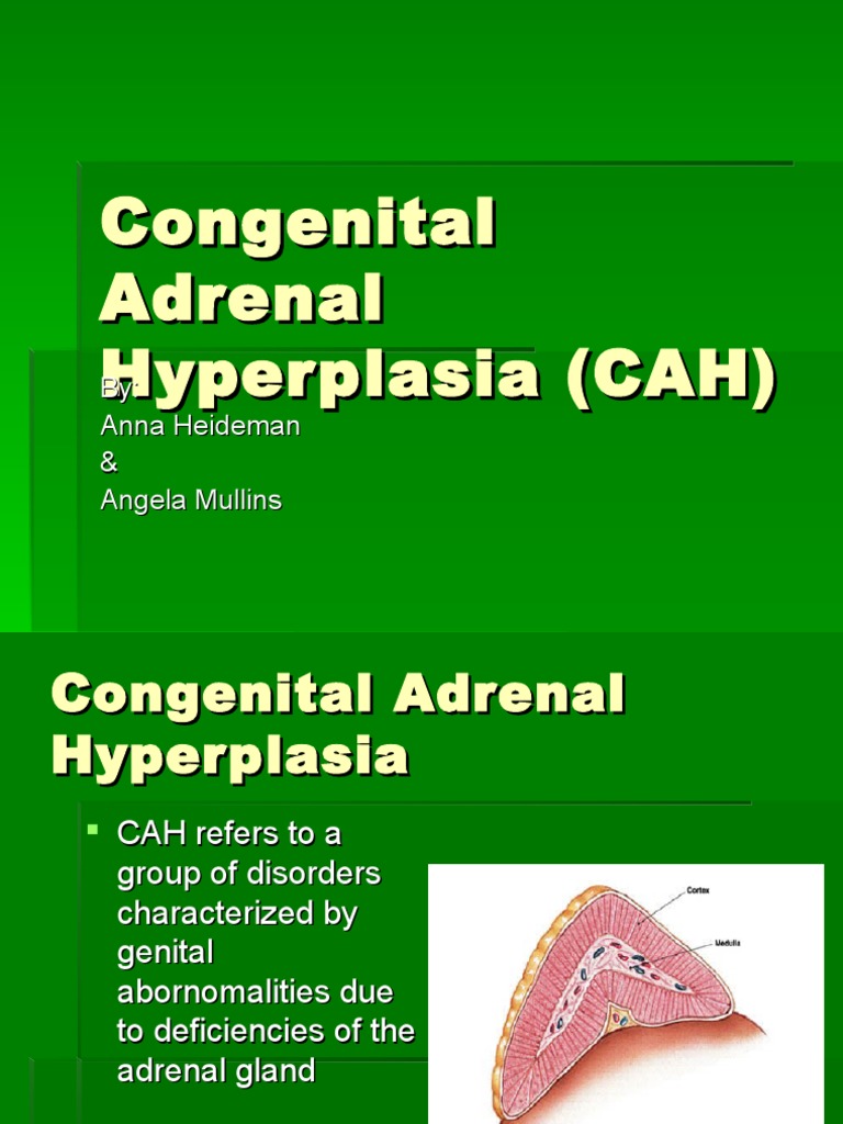 Congenital Adrenal Hyperplasia Overview | PDF | Adrenal Gland | Cortisol