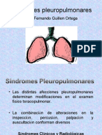 SX Pleuropulmonares