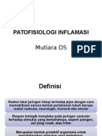 Patofisiologi Inflamasi