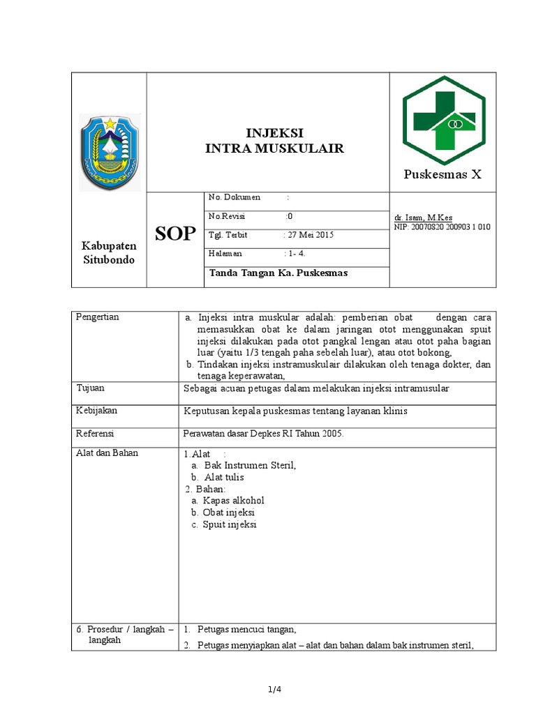 SOP INJEKSI IM Yang Dengan Diagram Alir | PDF