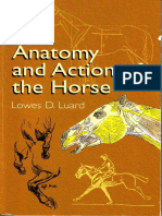 The Anatomy and Action of The Horse PDF