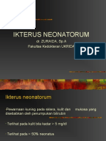 Ikterus Neonatorum