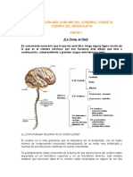 Mi Cerebro en El Béisbol