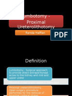 Lumbotomy - Proximal Ureterolithotomy RIU