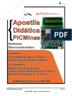 Apostila_PICMInas.pdf
