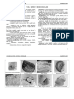 LP1 Fosile - Procese de Fosilizare