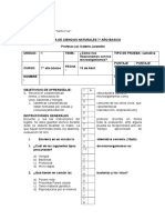 Naturales 7 Microorganismos Docx