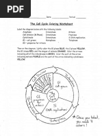 Cell Cycle Coloring Key