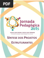 sintese-dos-projetos-estruturantes.pdf