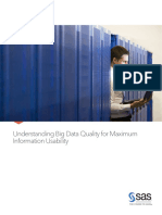 Understanding Big Data Quality for Maximum Information Usability