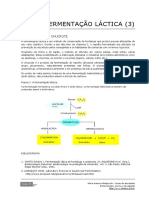 Chucrute_fermentação lática