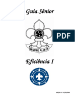3-guiasnior-eficinciai-120319203824-phpapp02.pdf